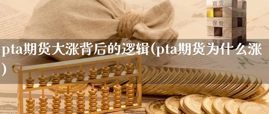 pta期货大涨背后的逻辑(pta期货为什么涨)_https://www.sjzjsgy.com_期货行情_第1张