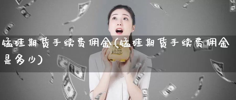 锰硅期货手续费佣金(锰硅期货手续费佣金是多少)_https://www.sjzjsgy.com_期货百科_第1张