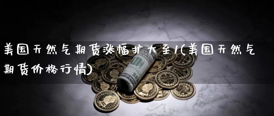 美国天然气期货涨幅扩大至1(美国天然气期货价格行情)_https://www.sjzjsgy.com_商品期货_第1张