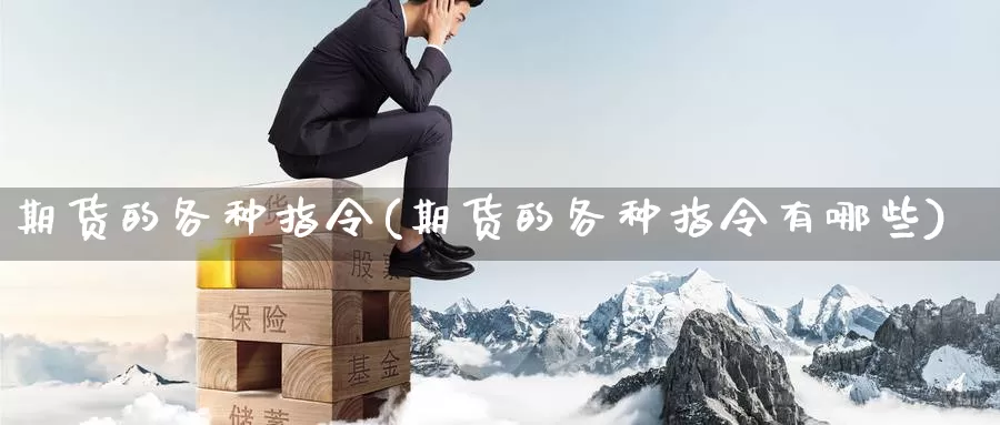 期货的各种指令(期货的各种指令有哪些)_https://www.sjzjsgy.com_期货百科_第1张