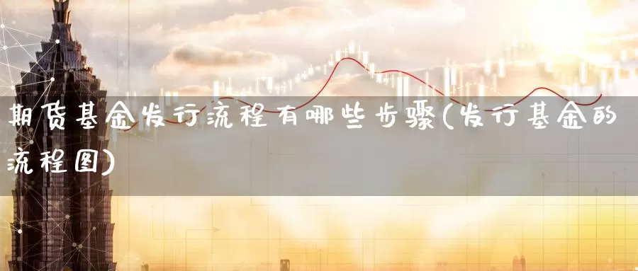 期货基金发行流程有哪些步骤(发行基金的流程图)_https://www.sjzjsgy.com_期货百科_第1张