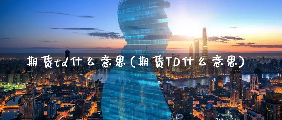 期货td什么意思(期货TD什么意思)_https://www.sjzjsgy.com_期货市场_第1张