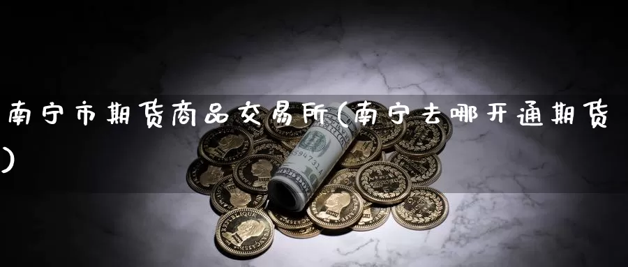 南宁市期货商品交易所(南宁去哪开通期货)_https://www.sjzjsgy.com_货币兑_第1张