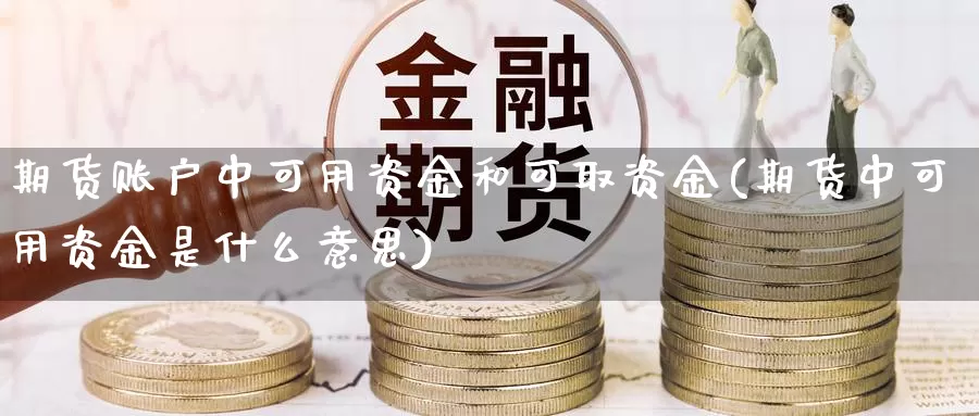 期货账户中可用资金和可取资金(期货中可用资金是什么意思)_https://www.sjzjsgy.com_外汇市场_第1张