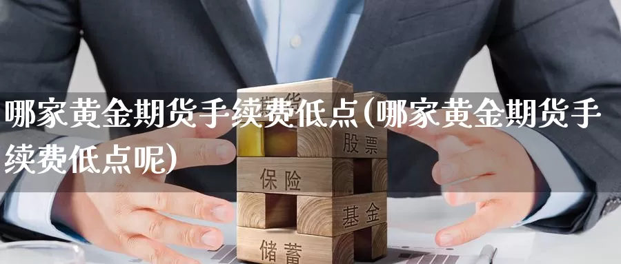 哪家黄金期货手续费低点(哪家黄金期货手续费低点呢)_https://www.sjzjsgy.com_期货市场_第1张