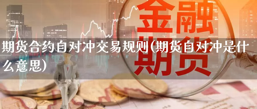 期货合约自对冲交易规则(期货自对冲是什么意思)_https://www.sjzjsgy.com_期货公司_第1张