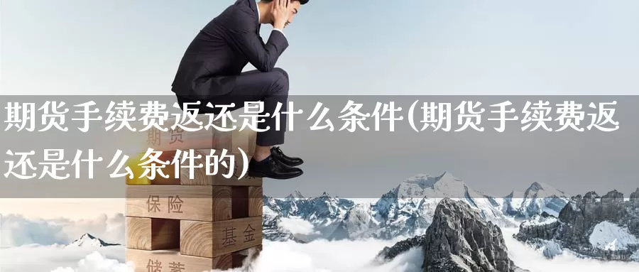 期货手续费返还是什么条件(期货手续费返还是什么条件的)_https://www.sjzjsgy.com_期货入门_第1张