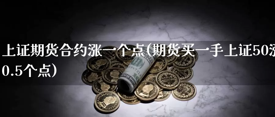 上证期货合约涨一个点(期货买一手上证50涨0.5个点)_https://www.sjzjsgy.com_期货代理_第1张