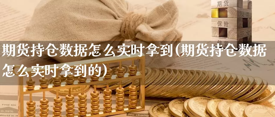 期货持仓数据怎么实时拿到(期货持仓数据怎么实时拿到的)_https://www.sjzjsgy.com_货币兑_第1张