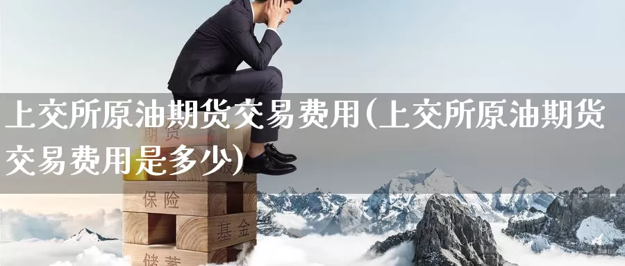 上交所原油期货交易费用(上交所原油期货交易费用是多少)_https://www.sjzjsgy.com_货币兑_第1张