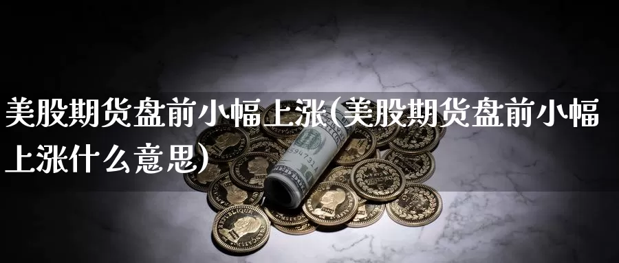 美股期货盘前小幅上涨(美股期货盘前小幅上涨什么意思)_https://www.sjzjsgy.com_期货公司_第1张