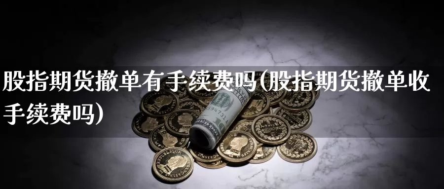 股指期货撤单有手续费吗(股指期货撤单收手续费吗)_https://www.sjzjsgy.com_期货百科_第1张