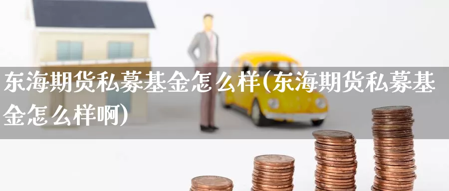 东海期货私募基金怎么样(东海期货私募基金怎么样啊)_https://www.sjzjsgy.com_期货行情_第1张