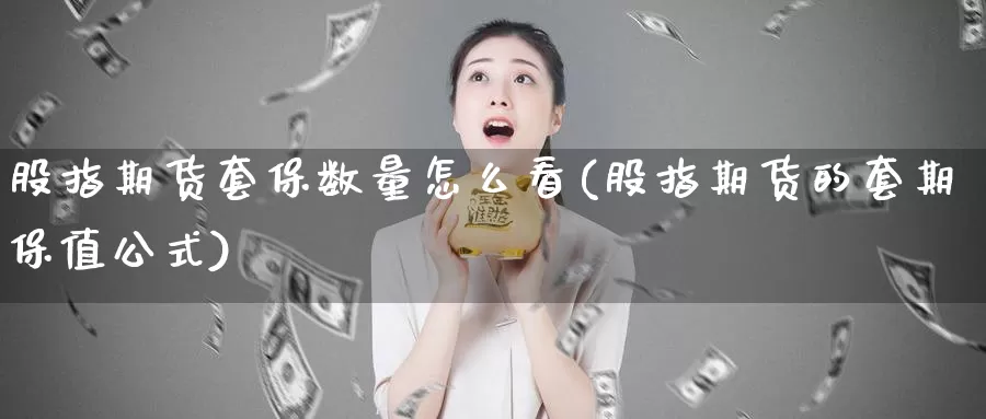 股指期货套保数量怎么看(股指期货的套期保值公式)_https://www.sjzjsgy.com_股指期货_第1张