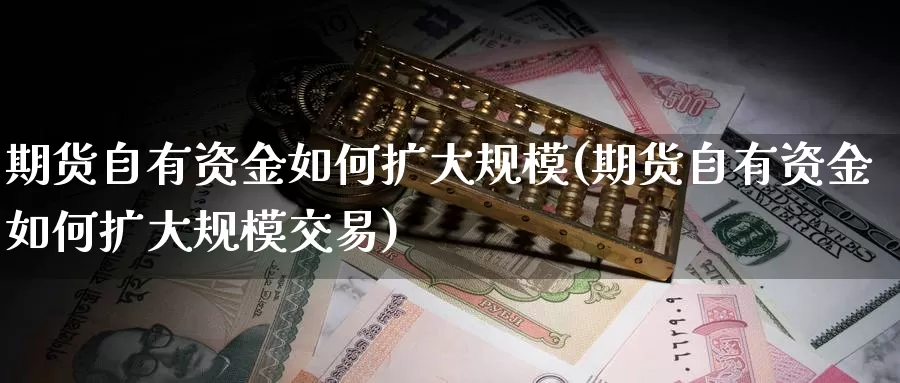 期货自有资金如何扩大规模(期货自有资金如何扩大规模交易)_https://www.sjzjsgy.com_货币兑_第1张