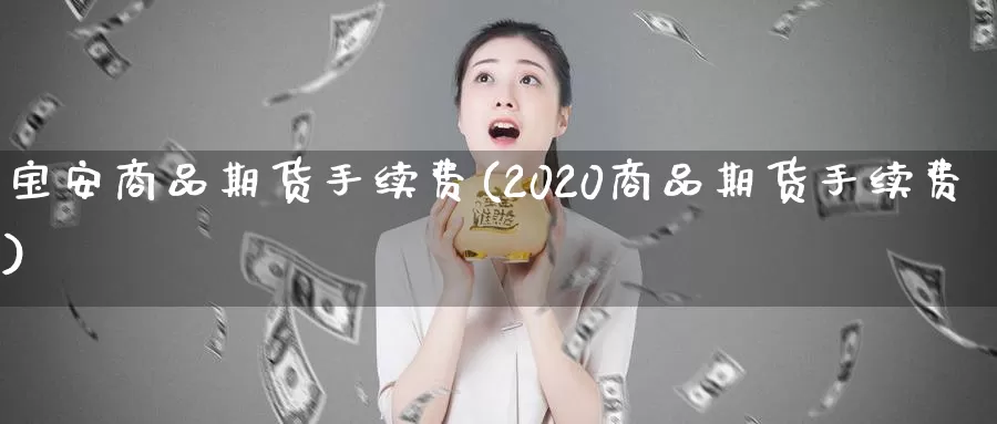 宝安商品期货手续费(2020商品期货手续费)_https://www.sjzjsgy.com_期货市场_第1张