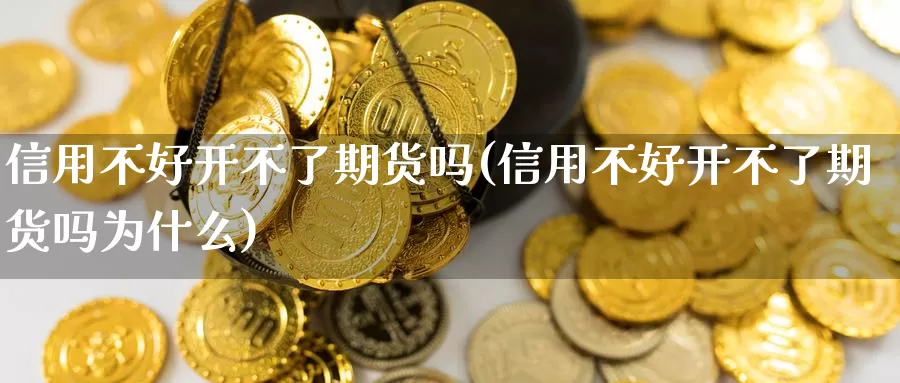 信用不好开不了期货吗(信用不好开不了期货吗为什么)_https://www.sjzjsgy.com_外汇市场_第1张