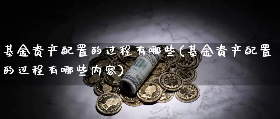 基金资产配置的过程有哪些(基金资产配置的过程有哪些内容)_https://www.sjzjsgy.com_货币兑_第1张