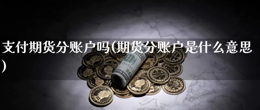 支付期货分账户吗(期货分账户是什么意思)_https://www.sjzjsgy.com_期货市场_第1张