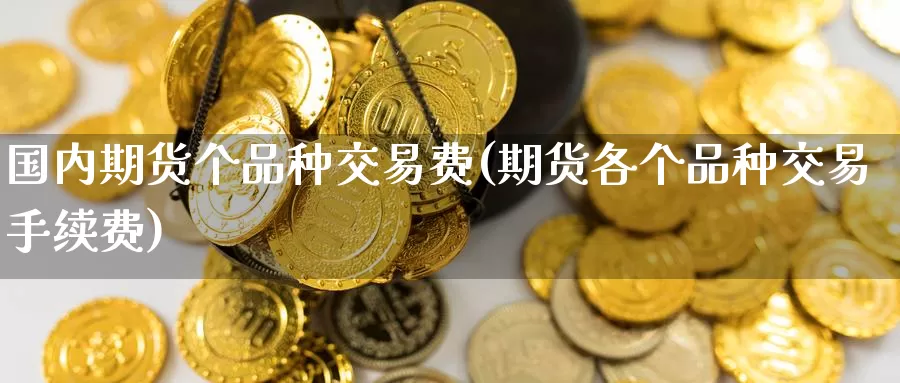 国内期货个品种交易费(期货各个品种交易手续费)_https://www.sjzjsgy.com_外汇_第1张