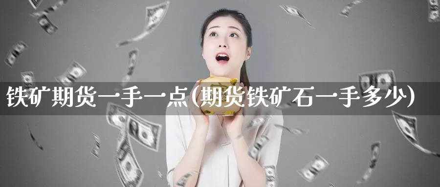 铁矿期货一手一点(期货铁矿石一手多少)_https://www.sjzjsgy.com_期货入门_第1张