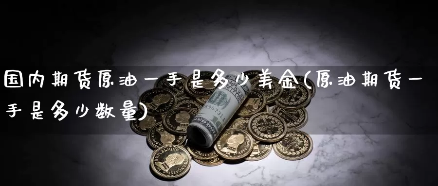 国内期货原油一手是多少美金(原油期货一手是多少数量)_https://www.sjzjsgy.com_期货市场_第1张