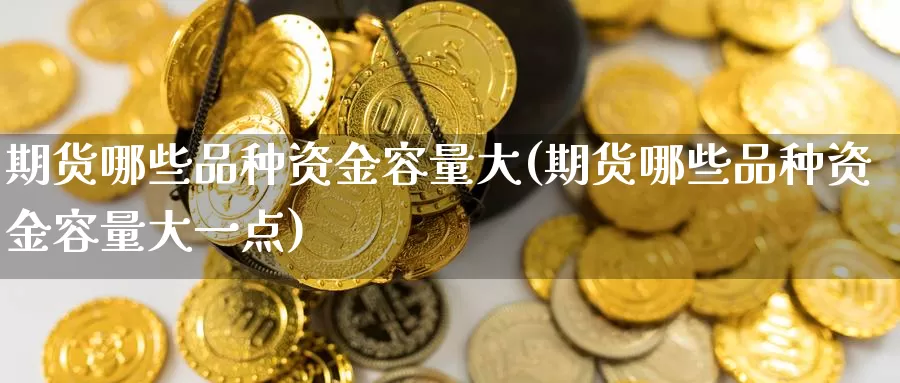 期货哪些品种资金容量大(期货哪些品种资金容量大一点)_https://www.sjzjsgy.com_外汇_第1张