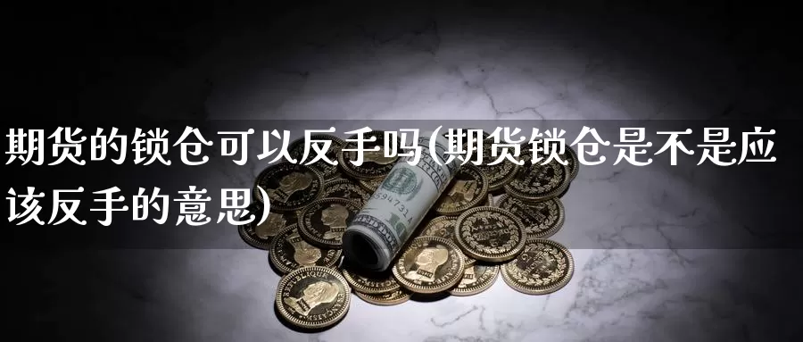 期货的锁仓可以反手吗(期货锁仓是不是应该反手的意思)_https://www.sjzjsgy.com_期货代理_第1张